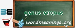 WordMeaning blackboard for genus etropus